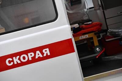 Стало известно о состоянии пострадавшей после нападения собаки россиянки - lenta.ru - Московская обл.