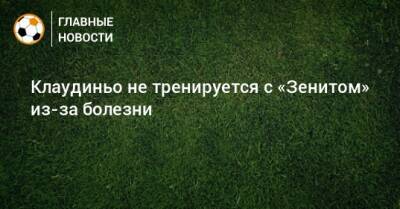 Сергей Семак - Магомед Оздоев - Далер Кузяев - Клаудиньо не тренируется с «Зенитом» из-за болезни - bombardir.ru