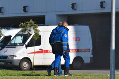 Вадим Покровский - Анатолий Альтштейн - В центре Гамалеи описали возможный сценарий развития пандемии в России - lenta.ru - Россия