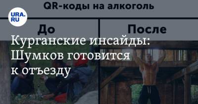 Вадим Шумков - Курганские инсайды: Шумков готовится к отъезду - ura.news - Москва - Курганская обл.