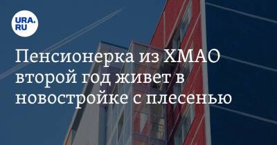 Пенсионерка из ХМАО второй год живет в новостройке с плесенью - ura.news - Югра - район Нижневартовский