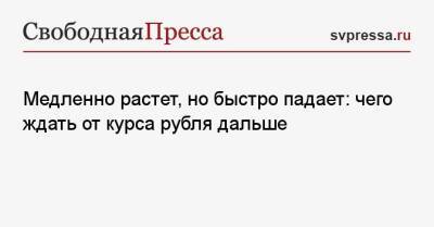 Дмитрий Голубовский - Медленно растет, но быстро падает: чего ждать от курса рубля дальше - svpressa.ru - Россия - США