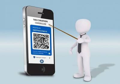 Татьяна Голикова - Переходный период при введении QR-кодов продлится до февраля - ya62.ru - Россия