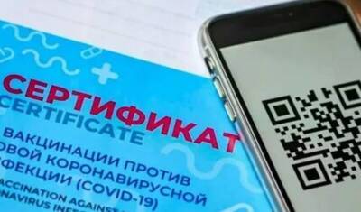 Татьяна Голикова - Переходный период при введении системы QR-кодов продлится до 1 февраля - newizv.ru - Россия