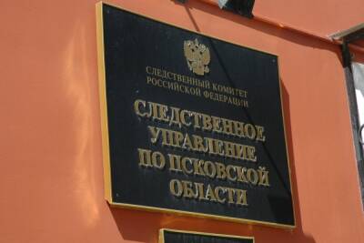 В Пскове установили подозреваемую в убийстве новорожденного ребенка - mk-pskov.ru - Россия - Псковская обл. - Псков