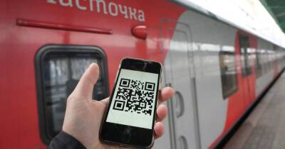 Татьяна Голикова - Голикова рассказала, когда QR-коды в транспорте введут в полном объеме - ren.tv - Россия