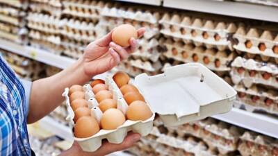 Польза и вред куриных яиц — эксперт о самом распространенном продукте в рационе россиян - 5-tv.ru