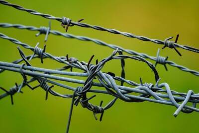 Денис Монастырский - Украина запланировала обустройство границ с Белоруссией и Россией - mk.ru - Россия - Украина - Белоруссия - Польша - Литва - Минск - Латвия