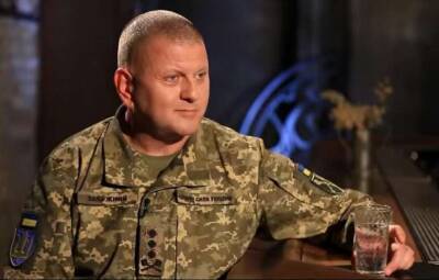 Алексей Резников - Валерий Залужный - Главнокомандующий ВСУ спрогнозировал много работы для ударных беспилотников Bayraktar - lenta.ua - Россия - Украина - Донбасс