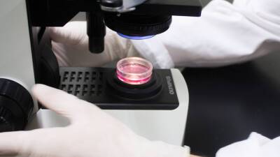 Ученые могут предсказывать диабет за 19 лет до появления первых симптомов - mir24.tv - Швеция - Финляндия