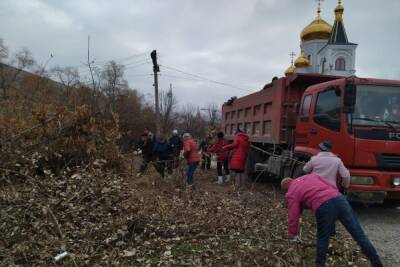 Ноябрьские морозы не помешали акции «Чистый четверг» в Донецке - mk.ru - Донецк