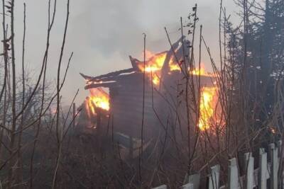 Тела двух человек обнаружили после пожара в Новосибирской области - novos.mk.ru - Новосибирская обл.