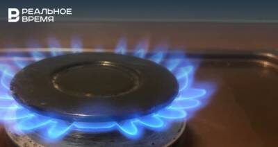 Максим Немчинов - В Украине заявили, что готовы закупать газ у Словакии в случае дефицита - realnoevremya.ru - Россия - Украина - Словакия