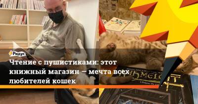 Чтение с пушистиками: этот книжный магазин— мечта всех любителей кошек - ridus.ru - Франция