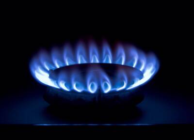 Максим Немчинов - Замминистра энергетики Украины пообещал закупать газ у Словакии при его дефиците - runews24.ru - Украина - Словакия
