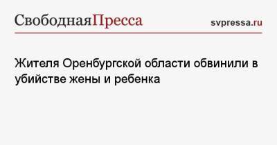 Жителя Оренбургской области обвинили в убийстве жены и ребенка - svpressa.ru - Москва - Оренбургская обл.