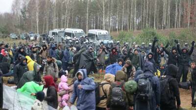 Валентин Рыбаков - Более 2 тысяч мигрантов находятся у границы с Польшей - news-front.info - Белоруссия - Польша - Литва