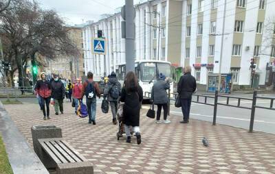 Как отреагировали на ДТП с мэром жители Петрозаводска - gubdaily.ru - Петрозаводск