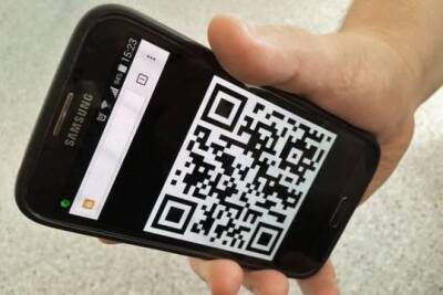 Владимир Круглый - В Совфеде не исключили выдачу QR-кодов россиянам с высоким уровнем антител к коронавирусу - versia.ru - Россия