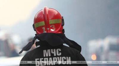 Работники МЧС спасли мужчину при пожаре дома в Шклове - belta.by - Белоруссия - Минск - Шклов