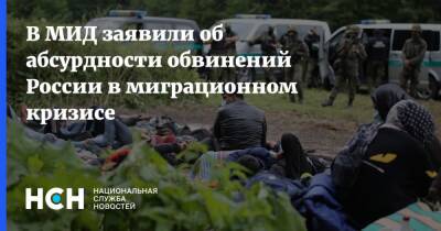 Григорий Лукьянцев - В МИД заявили об абсурдности обвинений России в миграционном кризисе - nsn.fm - Россия - Белоруссия - Польша