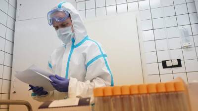 Владимир Солодов - Жителям Камчатки выдадут сертификат о перенесенном COVID-19 при наличии антител - iz.ru - Израиль - Камчатский край - Камчатка