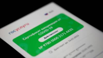 QR-код нового образца можно будет получить на портале «Госуслуги» и в МФЦ - inforeactor.ru - Россия
