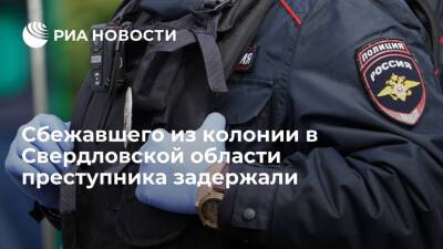 Сбежавшего из свердловской колонии преступника, осужденного за убийство, задержали - ria.ru - Россия - Екатеринбург - Свердловская обл. - Нижний Тагил