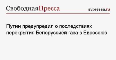 Владимир Путин - Путин предупредил о последствиях перекрытия Белоруссией газа в Евросоюз - svpressa.ru - Россия - Белоруссия - Польша - Минск