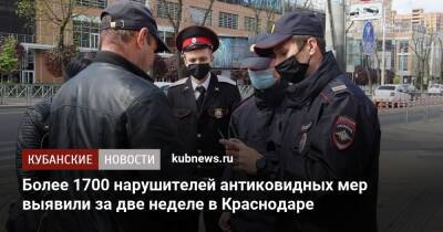 Более 1700 нарушителей антиковидных мер выявили за две неделе в Краснодаре - kubnews.ru - Краснодарский край - Краснодар