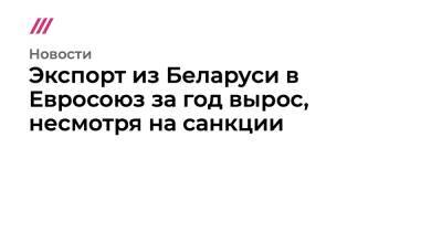 Экспорт из Беларуси в Евросоюз за год вырос, несмотря на санкции - tvrain.ru - Россия - Белоруссия