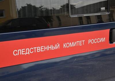 В Чучковском районе обнаружен убитый мужчина, его тело начали грызть мыши - ya62.ru - Рязань
