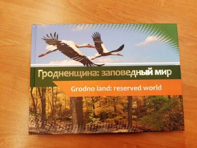 Заповедный мир Гродненщины глазами журналистов. Как проект «Гродзенскай праўды» стал красочной книгой - grodnonews.by - Белоруссия