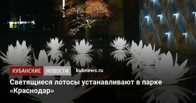 Светящиеся лотосы устанавливают в парке «Краснодар» - kubnews.ru - Краснодарский край - Краснодар - Благоустройство