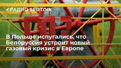 Владимир Путин - Александр Лукашенко - Польское издание Defence24 утверждает, что Москве выгодна приостановка Минском транзита газа в ЕС - smartmoney.one - Москва - Россия - Украина - Белоруссия - Польша - Минск