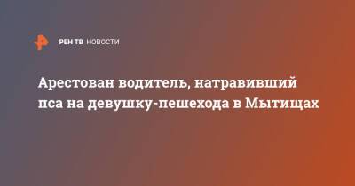 Арестован водитель, натравивший пса на девушку-пешехода в Мытищах - ren.tv - Московская обл.
