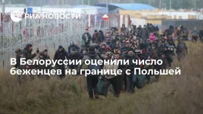 В Госпогранкомитете Белоруссии назвали ситуацию в лагере беженцев непростой - ria.ru - Белоруссия - Польша