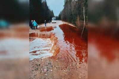 Дорожники восстановили движение на трассе Бронница – Частова после подтопления - mk.ru - Новгородская обл.