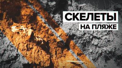 В Крыму на пляже обнаружили древние человеческие останки — видео - russian.rt.com - Крым - район Черноморский