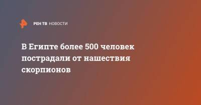 В Египте более 500 человек пострадали от нашествия скорпионов - ren.tv - Египет