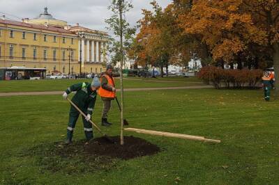 Александр Беглов - За время осеннего месячника в Петербурге ликвидировали 80 несанкционированных свалок - abnews.ru - Санкт-Петербург