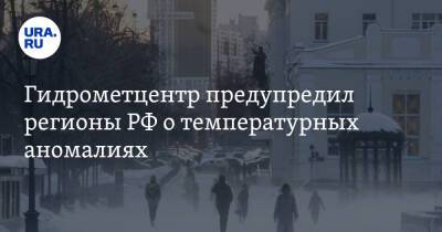 Роман Вильфанд - Гидрометцентр предупредил регионы РФ о температурных аномалиях - ura.news - Россия - Курганская обл. - окр.Сзфо