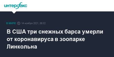В США три снежных барса умерли от коронавируса в зоопарке Линкольна - interfax.ru - Москва - Россия - Китай - США - Казахстан - Узбекистан - Киргизия - Индия - Таджикистан - Афганистан - Пакистан - штат Небраска - Монголия - Непал - Бутан