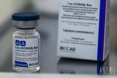 Александр Гинцбург - Гинцбург рассказал, когда нужно ревакцинироваться «Спутником Лайт» - gazeta.a42.ru