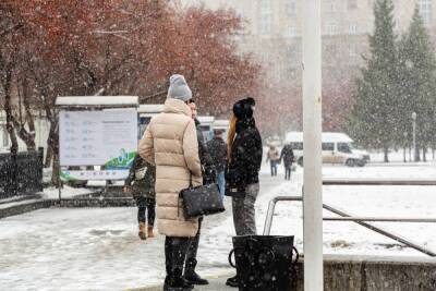 Сильный мороз обрушится на Новосибирск 15 ноября - novos.mk.ru - Новосибирск
