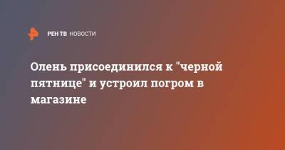 Олень "присоединился" к Черной пятнице и устроил погром в магазине - ren.tv - США - USA - шт. Мичиган