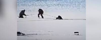 Под Новосибирском спасли провалившегося под лёд рыбака - runews24.ru - Новосибирск