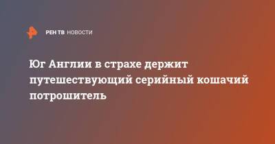 Юг Англии в страхе держит путешествующий серийный кошачий потрошитель - ren.tv - Англия - Лондон - Великобритания