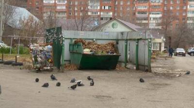Мусорные контейнеры в Пензе заполнены листьями - penzainform.ru - Пенза