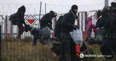 Миграционный кризис: Польша поймала Беларусь на переброске силовиков к границе - видео - obozrevatel.com - Белоруссия - Польша - Twitter